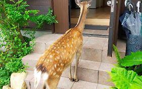 Nara Deer Hostel