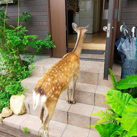 Deer Hostel- - 外国人向け - 日本人予約不可 奈良市 エクステリア 写真