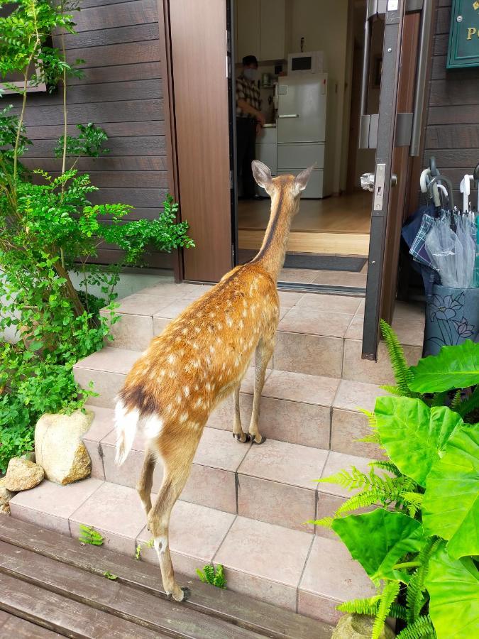 Deer Hostel- - 外国人向け - 日本人予約不可 奈良市 エクステリア 写真